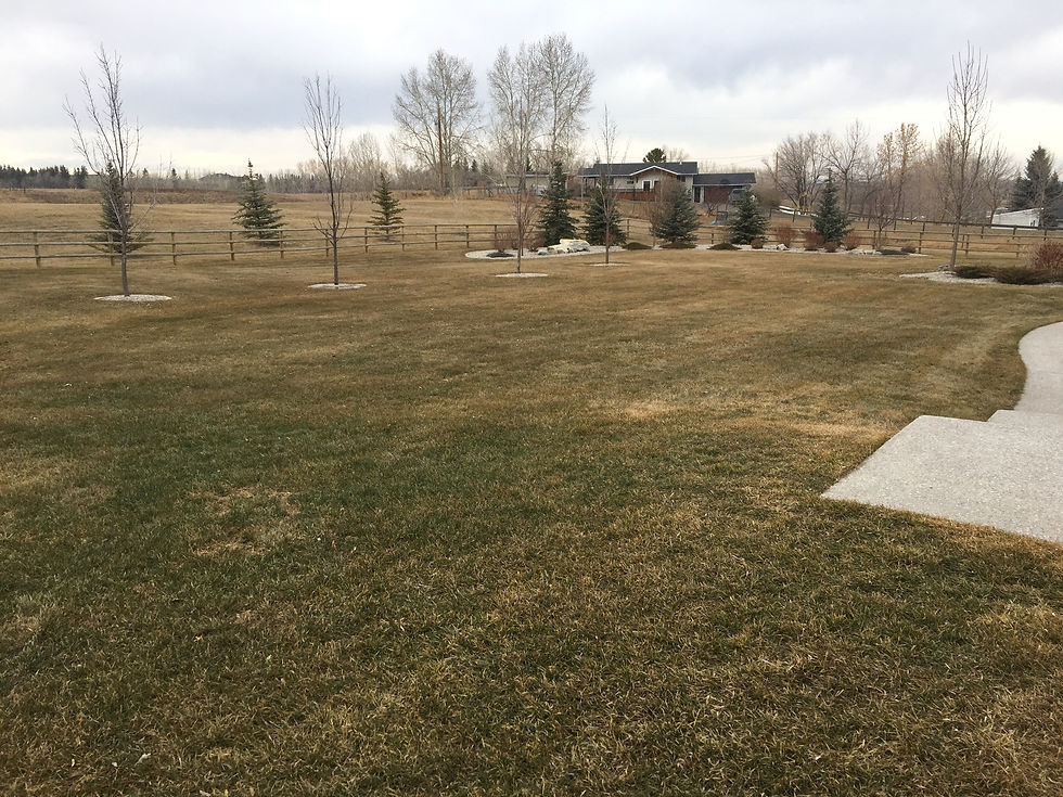 Water feature before.jpeg