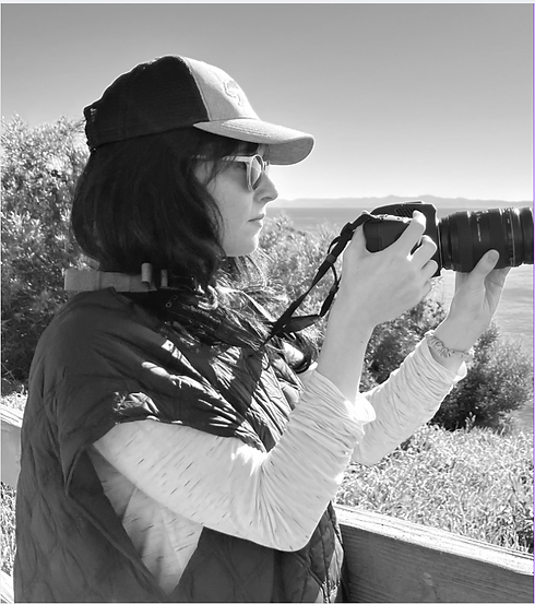 Screenshot 2026-01-31 at 9.02.47 AM.png