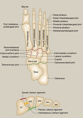 Screenshot 2025-11-16 at 13.05.17 (2).png