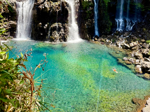 Jour 8 - Voyage à la Réunion