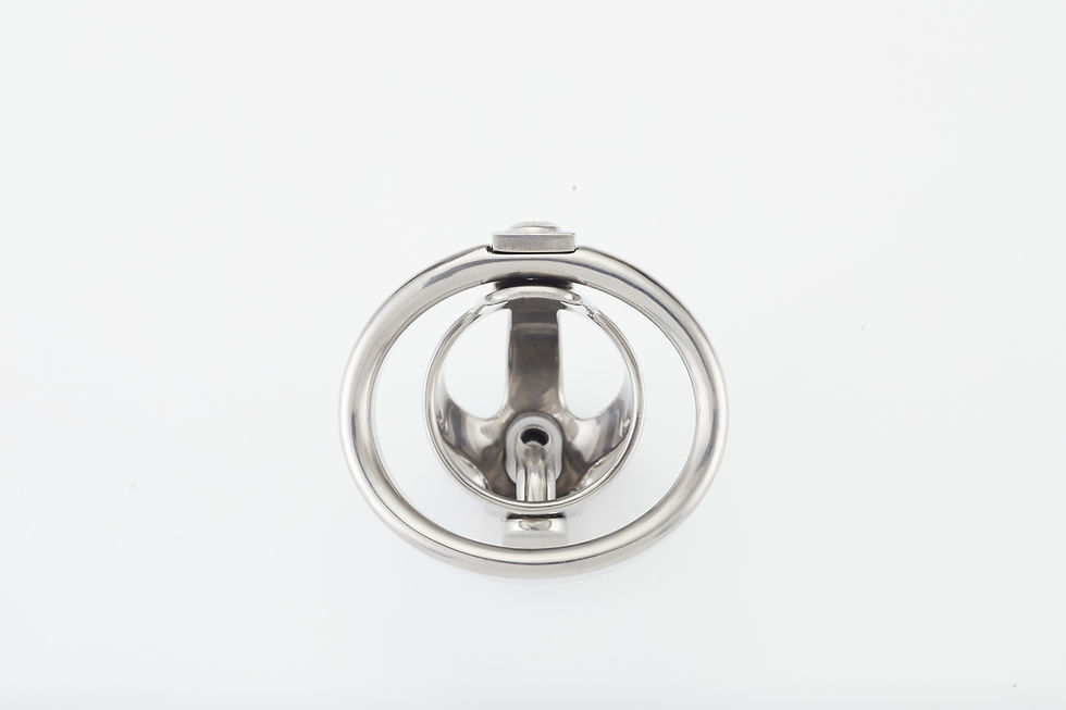 Thumbnail: Titanium Birdy