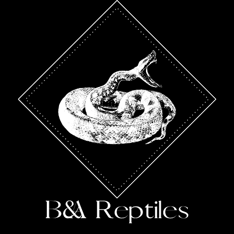 Logo Design 5.png