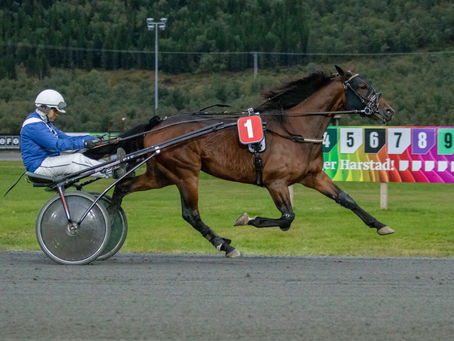 Til Start i Harstad