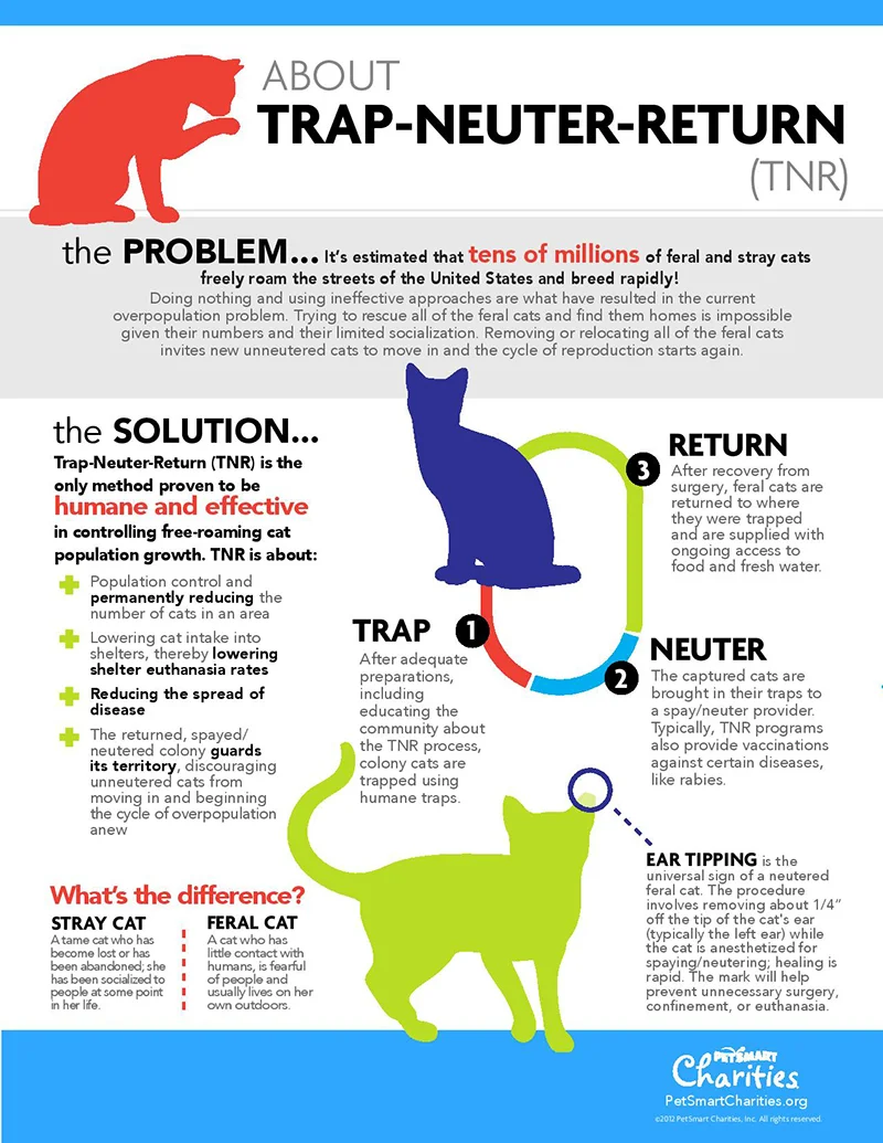 TNR-Infographic.webp