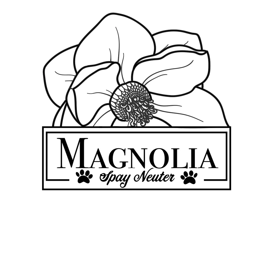 Magnolia.webp