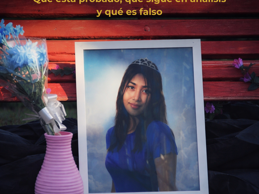 A casi tres meses de la desaparición y muerte de Xiomara, la causa avanza con definiciones parciales, pericias en curso y versiones que fueron desmentidas por el propio expediente.