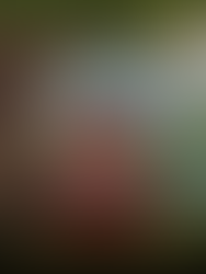 Cuentos infantiles prohibidos en la última dictadura militar