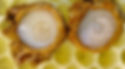 HONEY LARVAE BEER