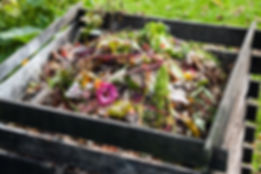AdobeStock_56743160.jpeg