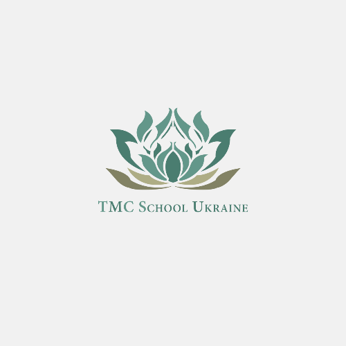 Фото автора: TMC SCHOOL UKRAINE
