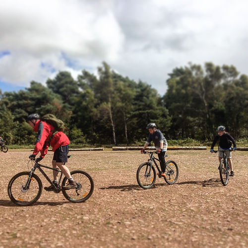 Mountain Biking Shaftesbury