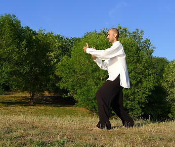 Cours de Tai Chi Chuan Lot 46