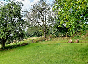 Grüne Wiese mit Bäumen und roten Holzstühlen.