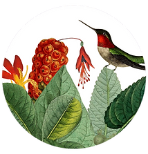 Colagem Marcia Albuquerque - flores e folhagens