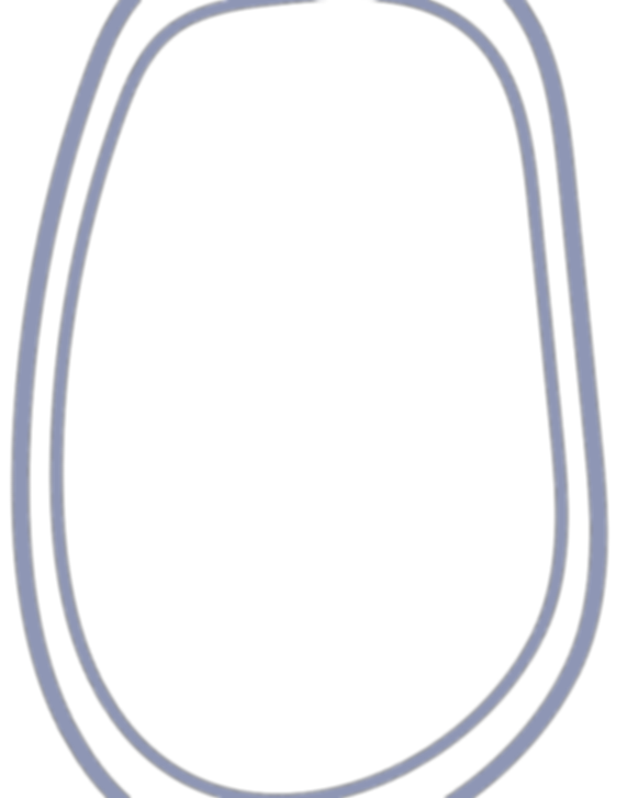 elo coral_edited.png