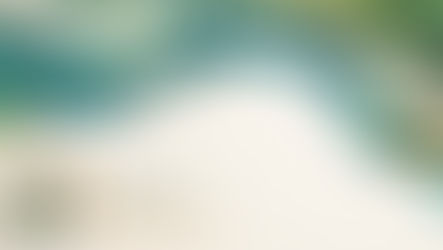 Bodanzky: 50 anos de Amazônia