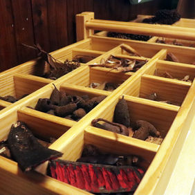 SALA_ARTE_NATUREZA(6) copiar.jpg