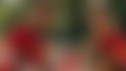 Volunteers in red shirts smiling and working together during a community service activity outdoors.