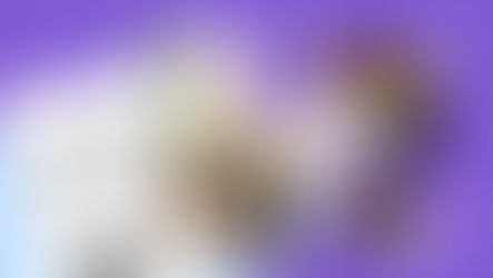 Why Choose a Digital Wedding Guestbook for Your Big Day