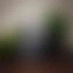 a lit candle surrounded by nature