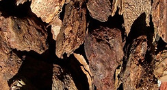 Large cedar bark nuggets for landscaping, available only in bags