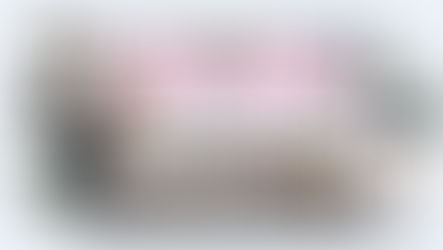 VidDay Launches Digital Wedding Guestbooks: Capture Every Moment