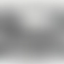 Largest Parade in Celebration of the Ratification of the 15th Amendment in Baltimore, MD