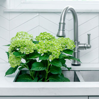 Traditional White Kitchen Design Ideas | Studio 790