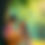 Thumbnail: Cover Art