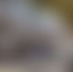 Day Trip from NYC: How to Spend a Perfect Day in Millerton