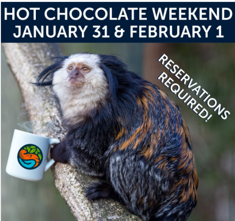 Hot Chocolate Weekend at Trevor Zoo