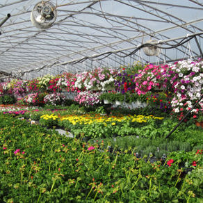 How to Prep Your Garden for Spring in the Hudson Valley