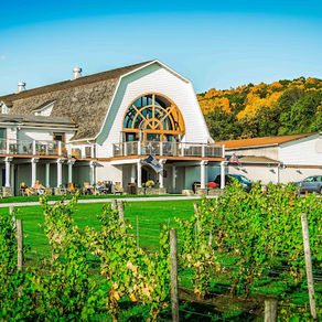 Exploring Upstate Wine Country: A Guide to Local Wineries and Vineyards