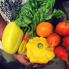 Exploring Local Farms and Markets in Millerton: A Fresh and Flavorful Guide