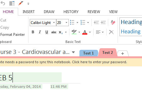 OneNote Password For PC