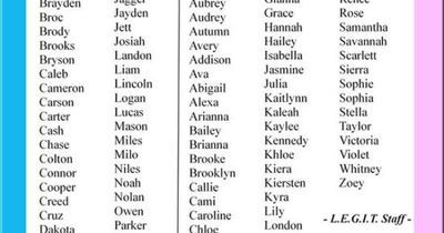 Unique Baby Namer Crack