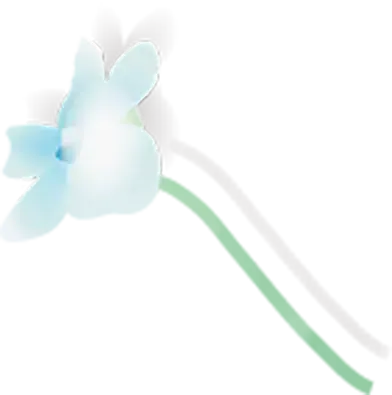 Flower-30.webp