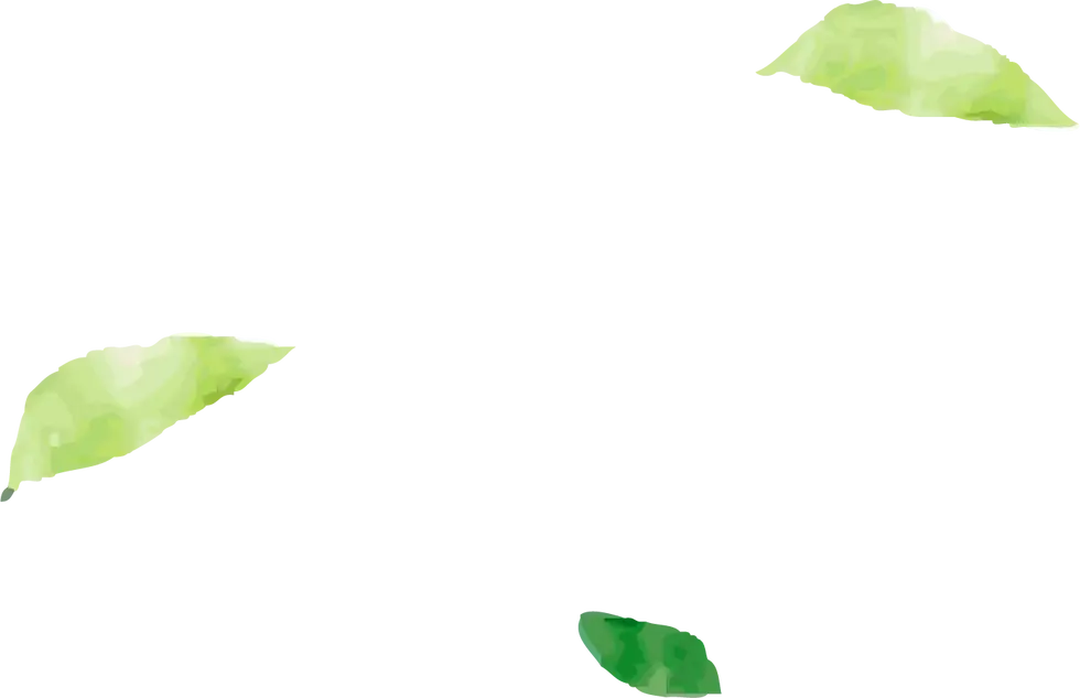 第3章-グリーン13.webp