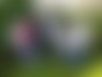 WI calendar raises almost £1,700 for city cancer charity