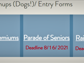 Dog Event sign ups