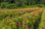 AdobeStock_371049295.jpeg
