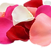 Petal_edited.png