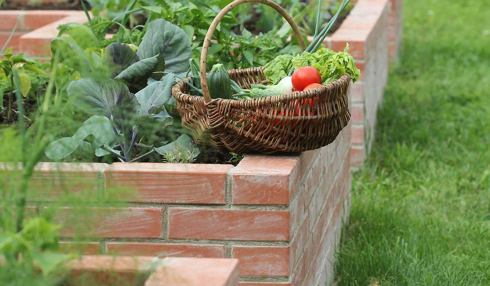 Edible Gardens