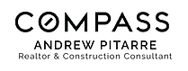 AP-Logo.png