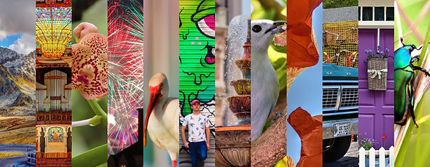 A vertical 12-panel collage of Theodore Carrigan-Broda's landscape, architecture, and still-life photography