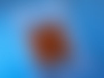 Why Specimen Transport Bags Are Essential for Safe Sample Handling