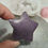 Miniature : Étoile de lépidolite PF