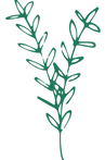 plants 3_edited.png