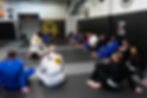 Advanced Belt Progression in Brazilian Jiu-Jitsu: From Black Belt to Red