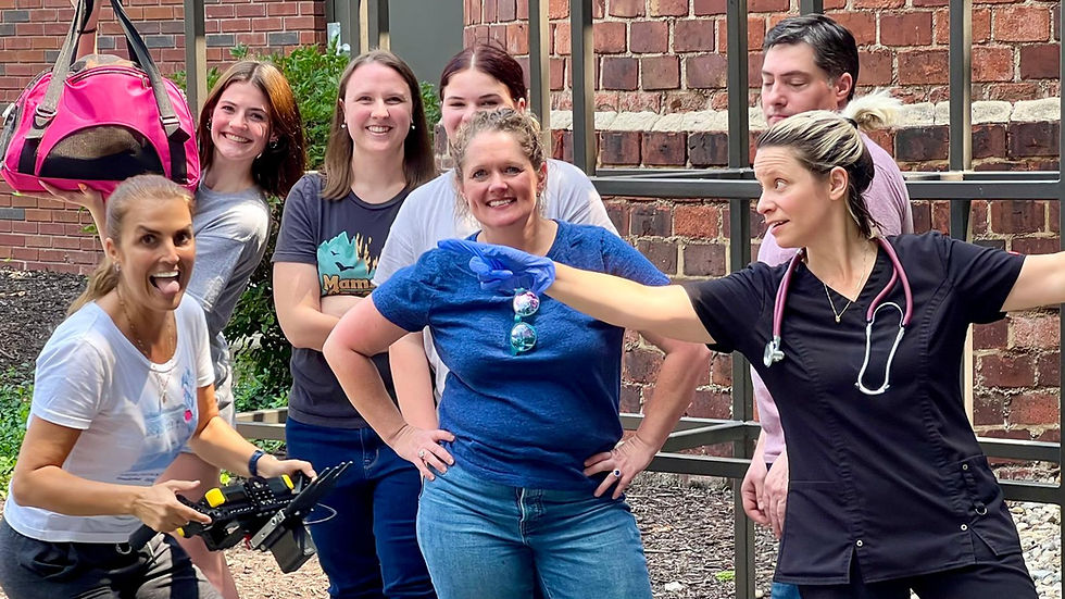 We are ready to rock and roll!